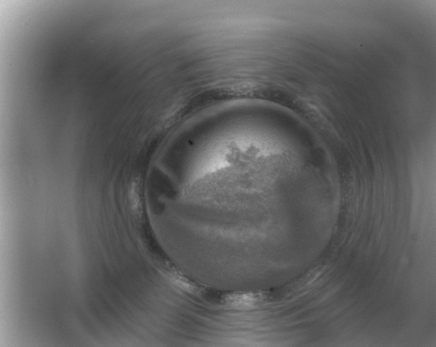 X0000063530131200602032146