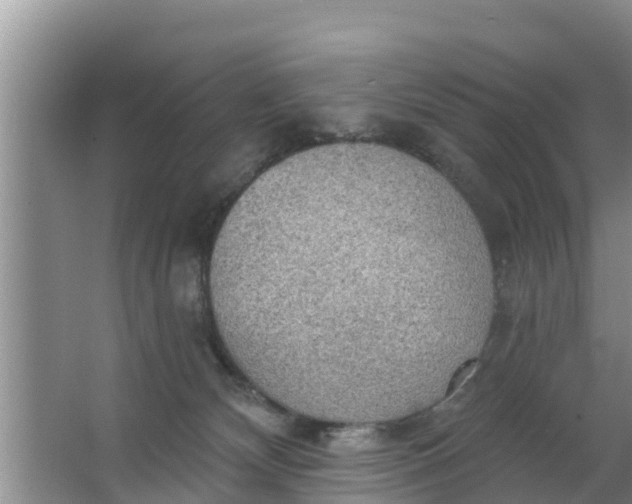 X0000063530132200602032146