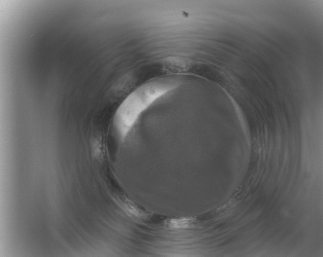 X0000063530134200602032146