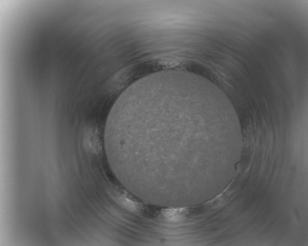 X0000063530136200602032146