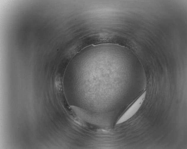 X0000063530137200602032146