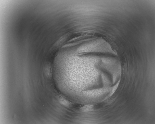 X0000063530138200602032146