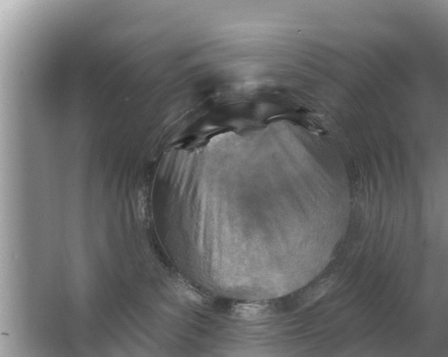 X0000063530139200602032146