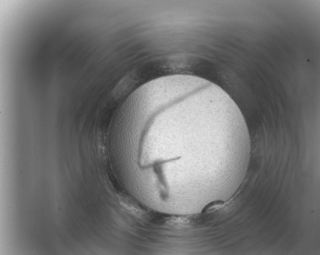 X0000063530140200602032146