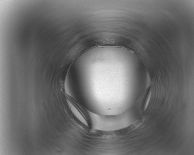 X0000063530141200602032146