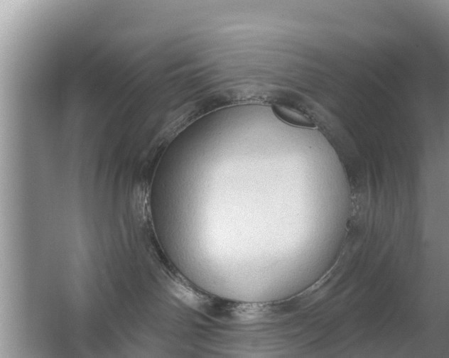 X0000063530142200602032146