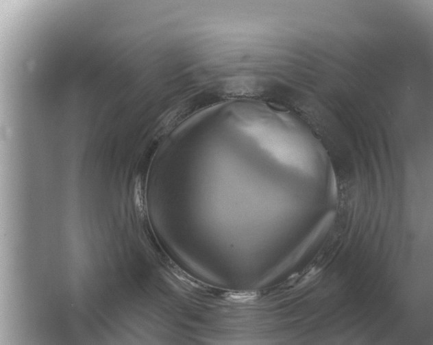 X0000063530143200602032146