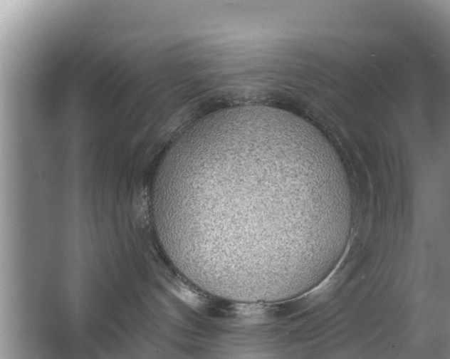 X0000063530144200602032146