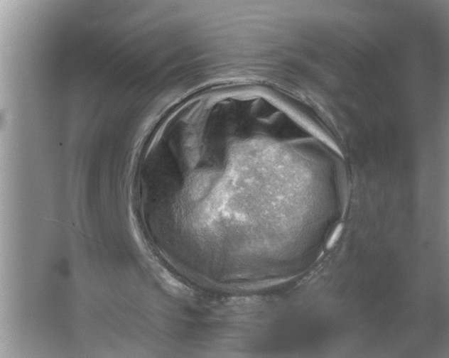 X0000063530145200602032145