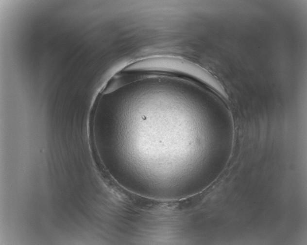 X0000063530148200602032145