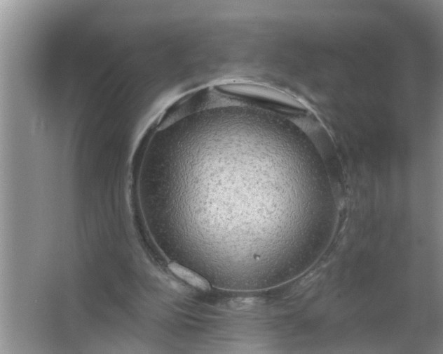 X0000063530152200602032145