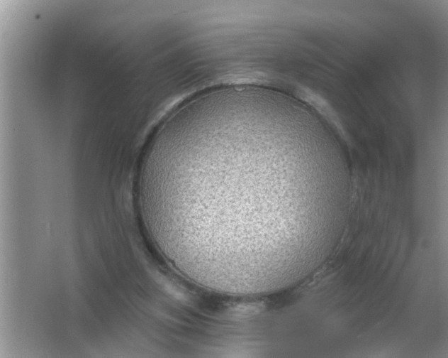 X0000063530155200602032145