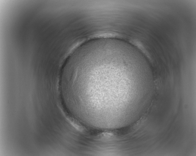 X0000063530159200602032145