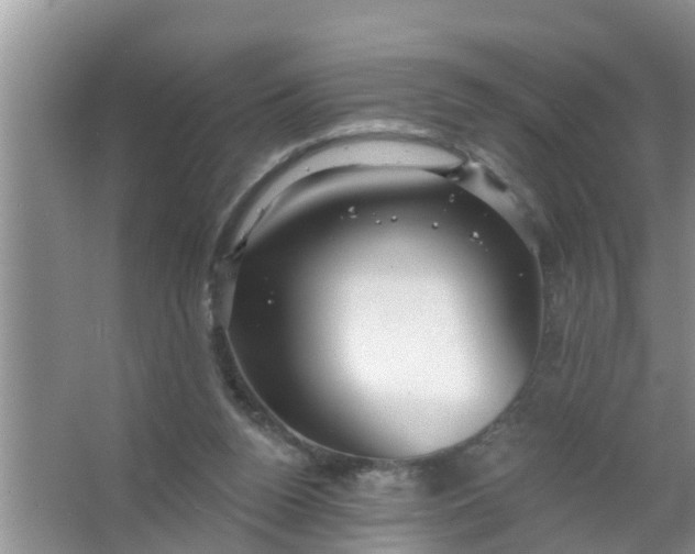 X0000063530160200602032145