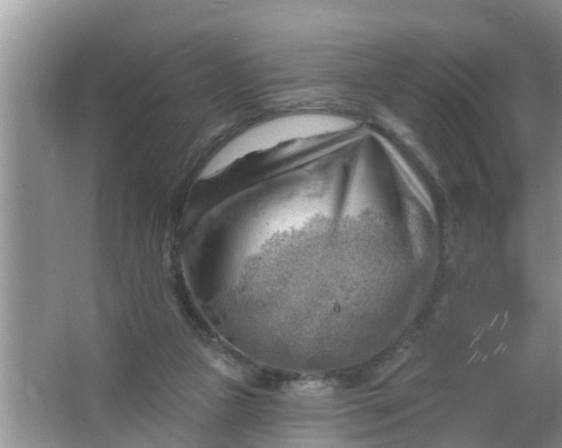 X0000063530161200602032145