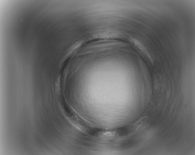 X0000063530163200602032145