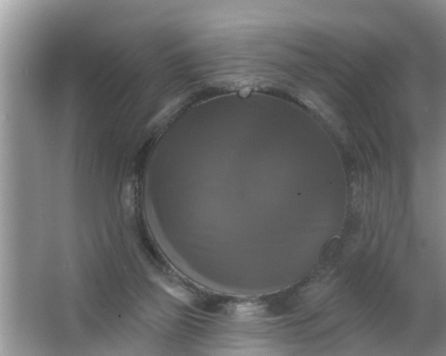 X0000063530165200602032145