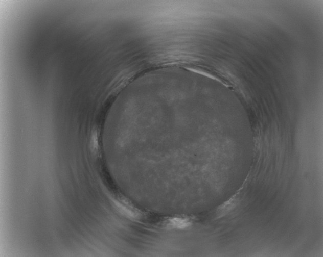 X0000063530166200602032145