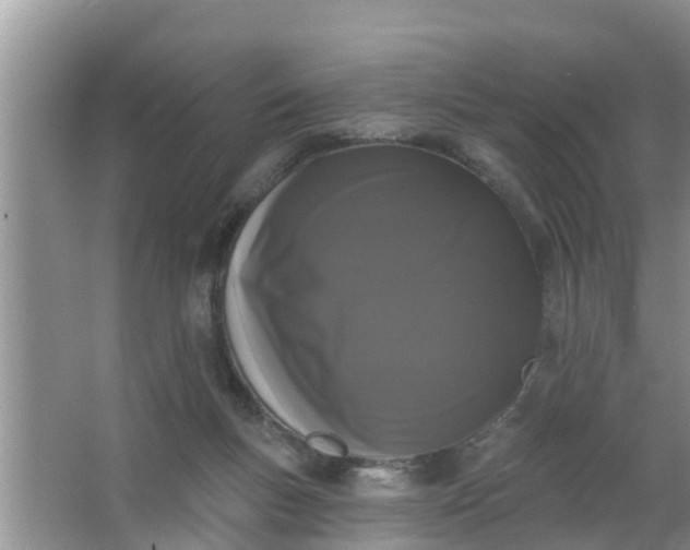 X0000063530167200602032145