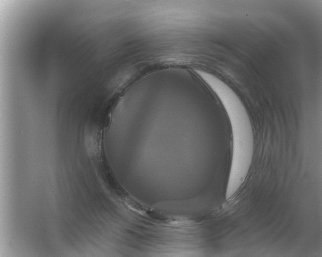 X0000063530168200602032145