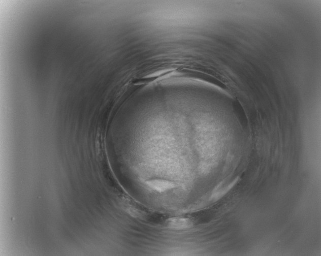 X0000063530169200602032145