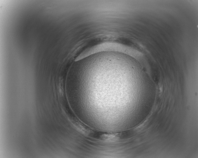 X0000063530170200602032145