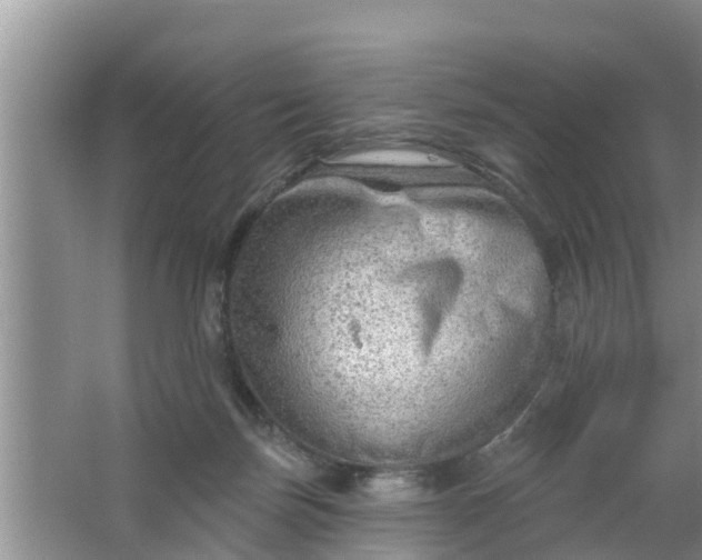 X0000063530171200602032145