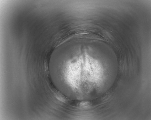 X0000063530173200602032145