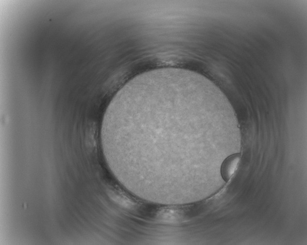 X0000063530174200602032145