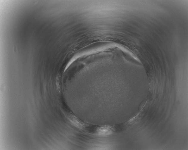 X0000063530175200602032145