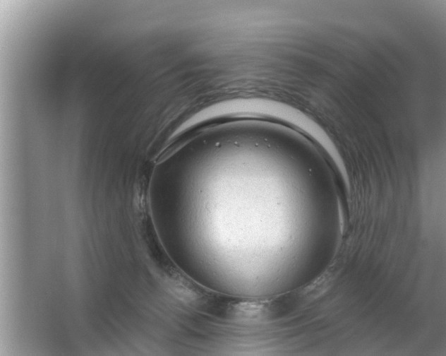 X0000063530176200602032145