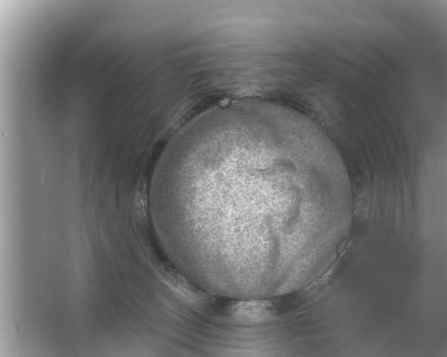 X0000063530179200602032145