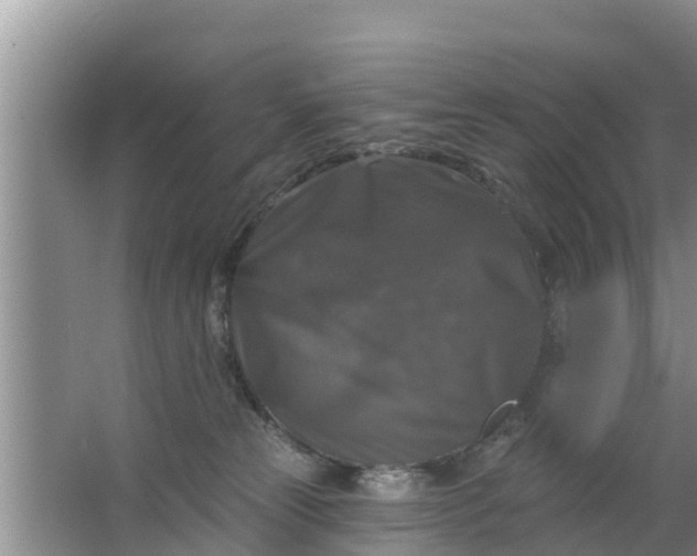 X0000063530181200602032145