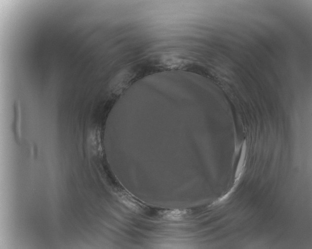 X0000063530182200602032145