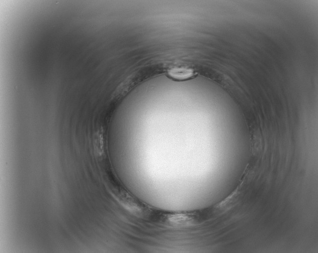 X0000063530183200602032145