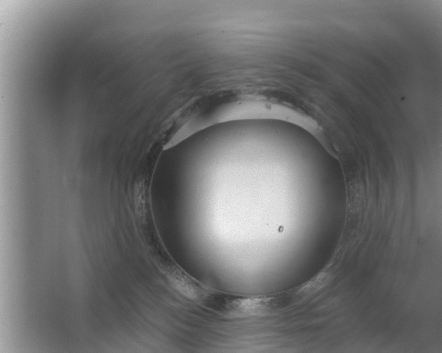 X0000063530184200602032145