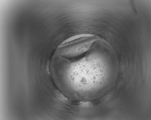 X0000063530185200602032145