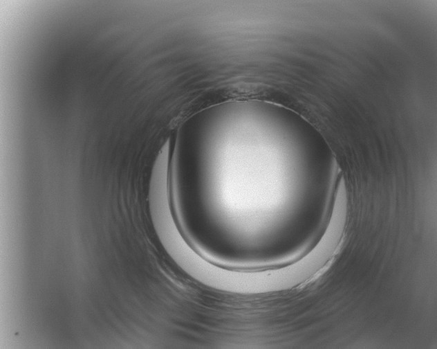 X0000063530186200602032145