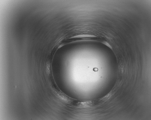 X0000063530188200602032146