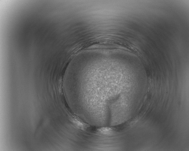 X0000063530189200602032146