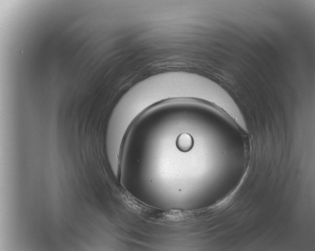 X0000063530190200602032146