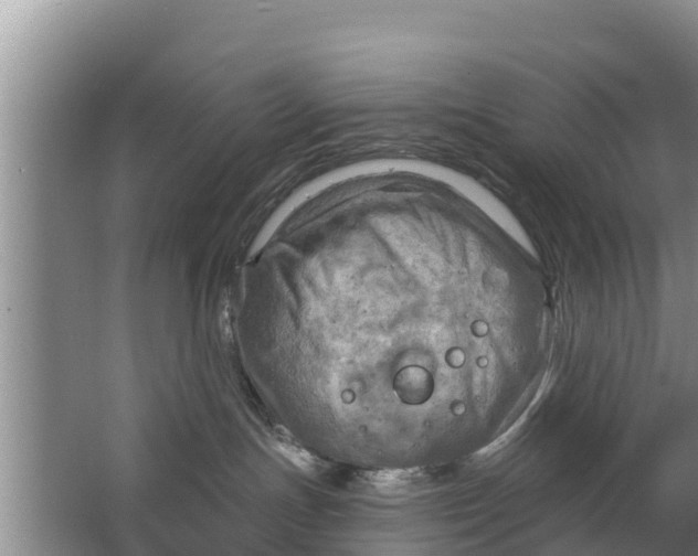 X0000063530191200602032146