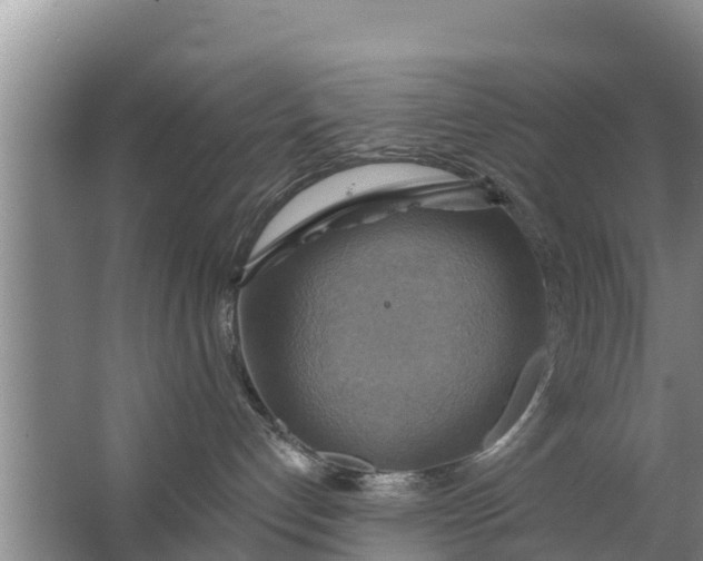 X0000063530192200602032146