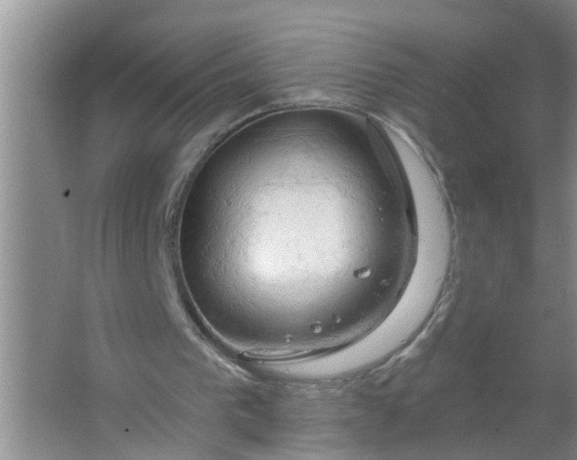 X0000063530193200602032145