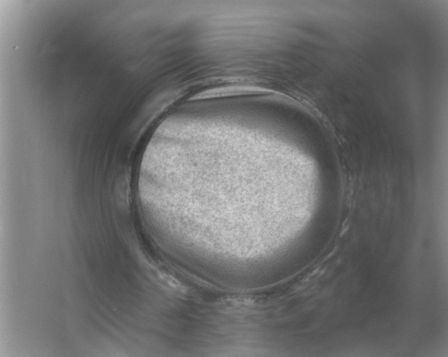 X0000063530194200602032145