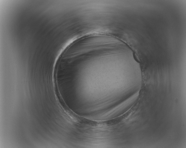 X0000063530196200602032145