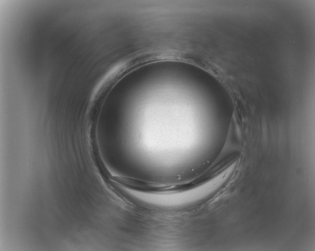 X0000063530197200602032145