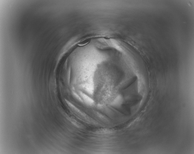 X0000063530198200602032145