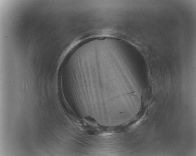 X0000063530200200602032145