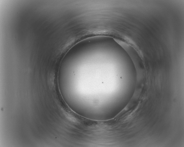 X0000063530201200602032145